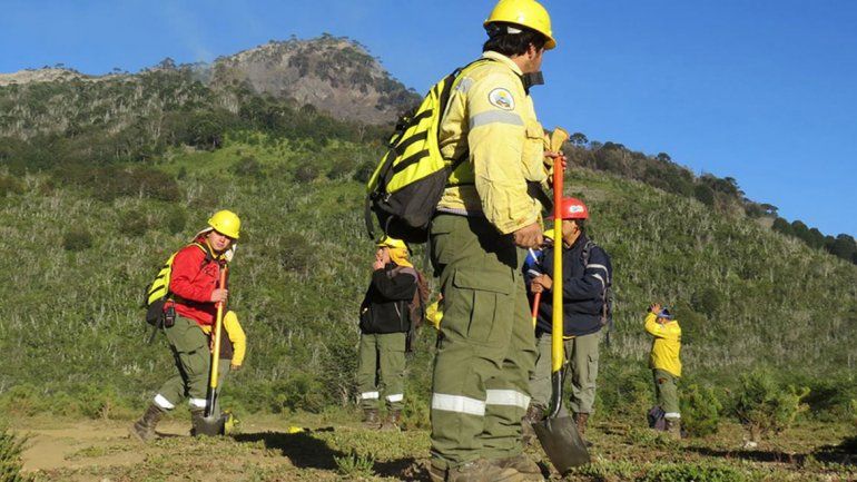 Los brigadistas mantienen una guardia de ceniza en el área.