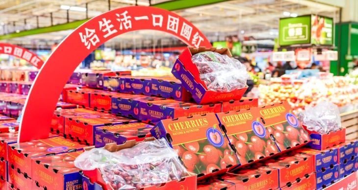 El mercado chino, que durante años absorbió volúmenes récord, ya no sostiene el crecimiento acelerado de la oferta chilena. El mercado chino, que durante años absorbió volúmenes récord, ya no sostiene el crecimiento acelerado de la oferta chilena.