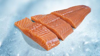 salmon.jpeg
