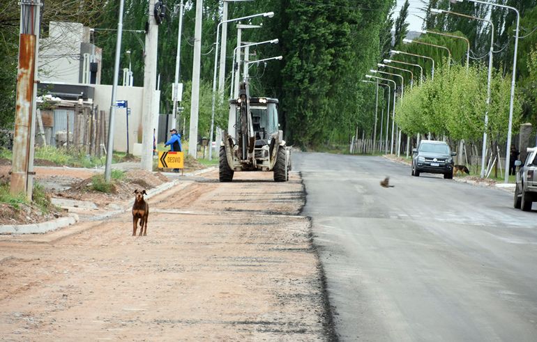 Mariano Gaido recorrió la obra de asfalto de la calle Bejarano. Mariano Gaido recorrió la obra de asfalto de la calle Bejarano.