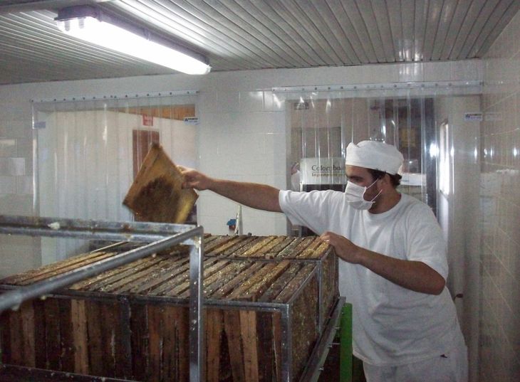 En la última temporada 2023-2024, se produjeron 300 toneladas de miel aproximadamente. Foto: Centro Pyme Adeneu. En la última temporada 2023-2024, se produjeron 300 toneladas de miel aproximadamente. Foto: Centro Pyme Adeneu.