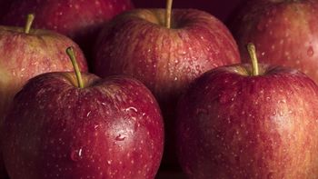 Paradoja: mientras la inflación se desacelera, el precio de la manzana crece más rápido: cuesta más en pesos, pero vale menos en moneda extranjera. Paradoja: mientras la inflación se desacelera, el precio de la manzana crece más rápido: cuesta más en pesos, pero vale menos en moneda extranjera.