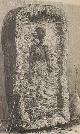 La ilustración de aquella momia.