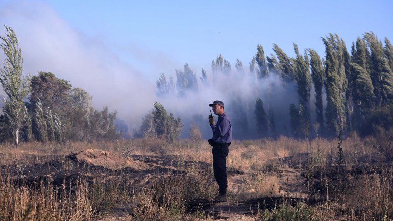 Un incendio de pastizales dejó sin luz a la mitad de Senillosa