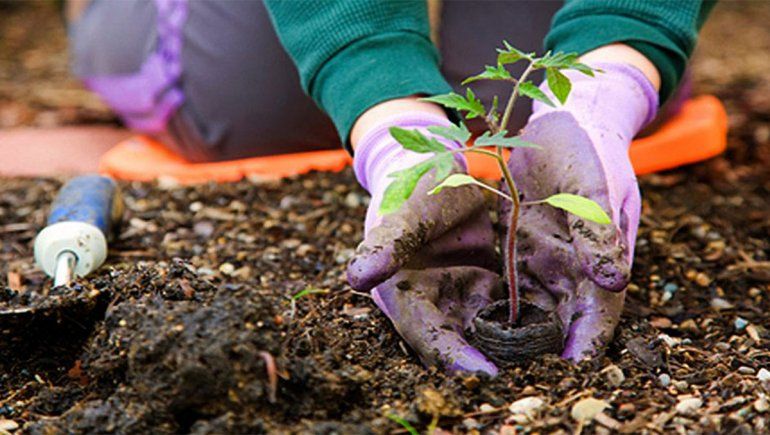 Aprueban proyectos para áreas rurales de la provincia