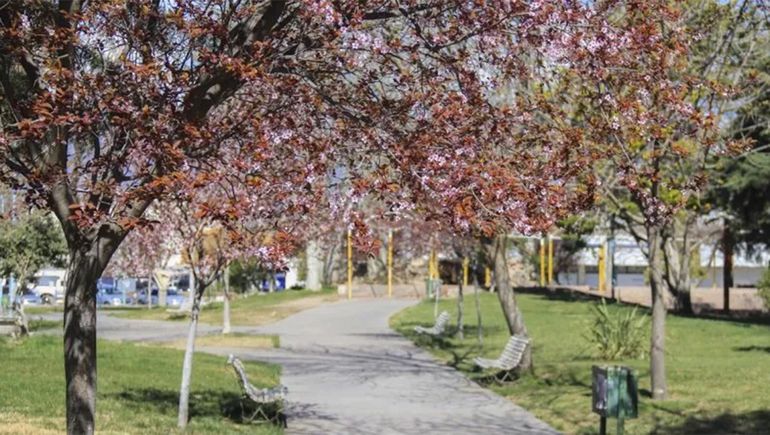Se espera un fin de semana con calor en el Alto Valle