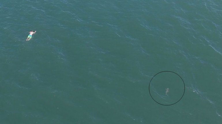 Fue atrapado en la entrada a otra playa de la zona. Había escapado a pie de un control vehicular: llevaba drogas.