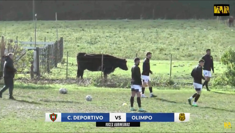 Olimpo hizo la entrada en calor al lado de las vacas que estaban del otro lado de un precario alambrado.&nbsp;