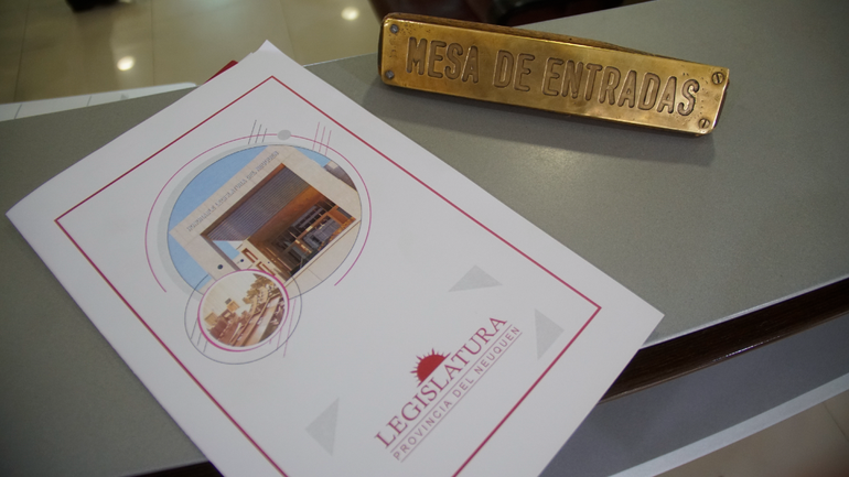 Quieren congelar los sueldos políticos en Neuquén por un año