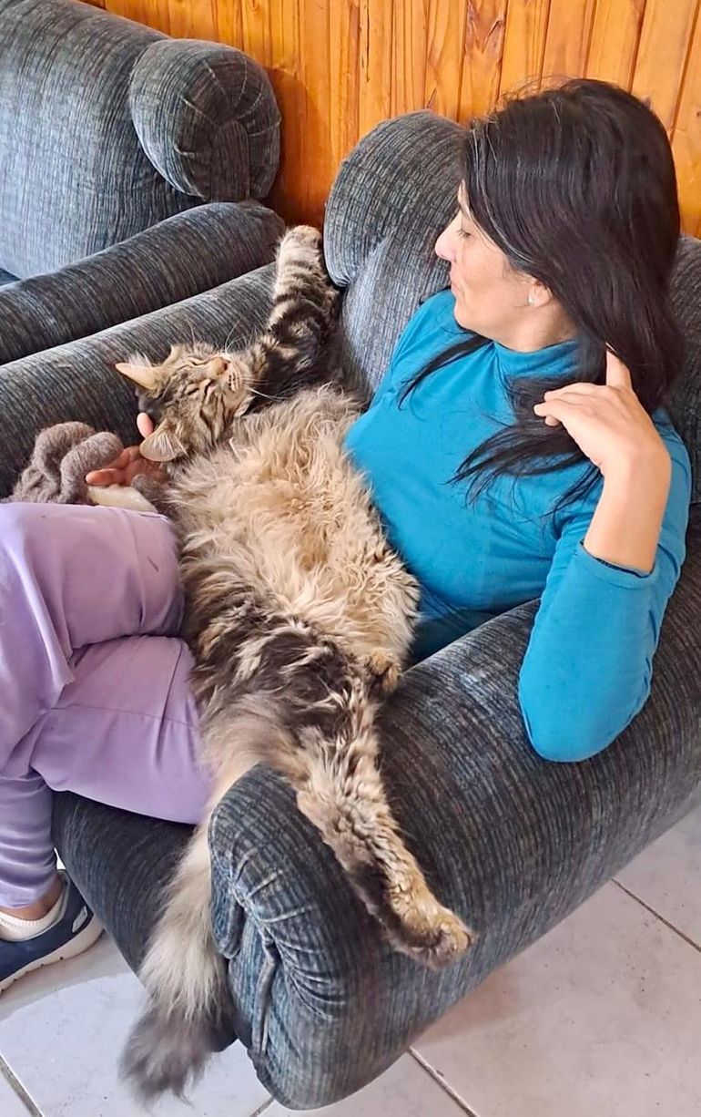 Aquiles, con su increíble tamaño, junto con dueña Romina Cárdenas. La familia pide ofrece una recompensa.