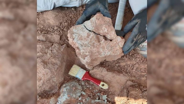 El hallazgo de los paleontólogos fue gracias al aviso del puestero Enrique Muñoz.