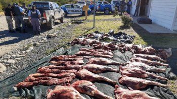 secuestro piezas cirervo caza ilegal junin de los andes (1).jpeg