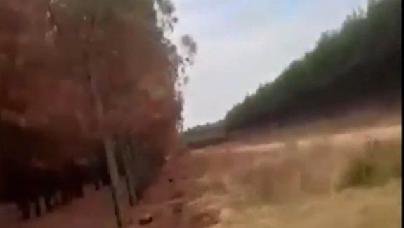El jóven que se grabó incendiando un bosque en Corrientes publicó su descargo