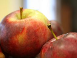 Manzana de calidad en el norte de la Patagonia, un bien realmente escaso... Manzana de calidad en el norte de la Patagonia, un bien realmente escaso...