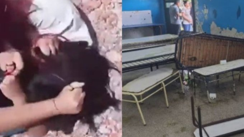 Una brutal pelea entre adolescentes genera gran preocupación por la creciente violencia escolar. | LM Neuquen Una brutal pelea entre adolescentes genera gran preocupación por la creciente violencia escolar.