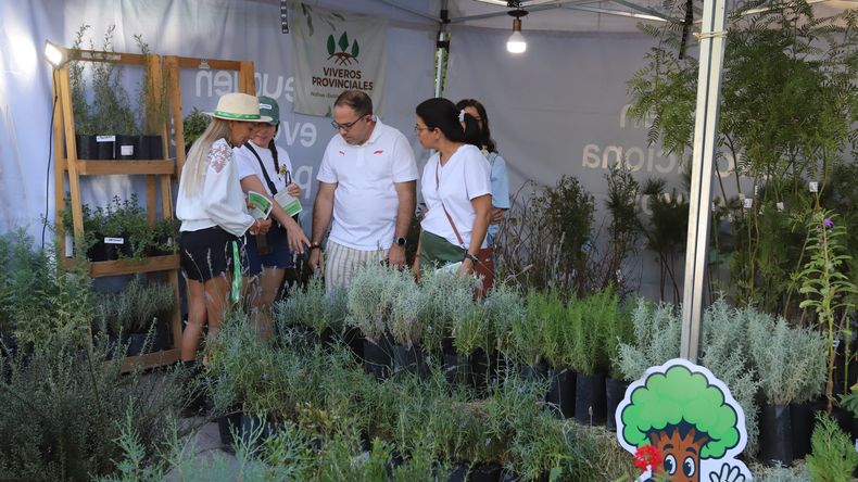 Fiesta de la Confluencia: el festival tuvo hasta un vivero para llevarse plantas