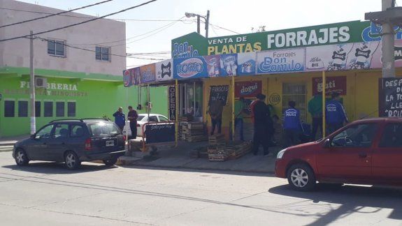 Atrapan a arbolitos por vender 3500 dólares truchos