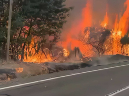 Se está privilegiando el trabajo de los Bomberos en la zona, ante el continuo avance del fuego. Se está privilegiando el trabajo de los Bomberos en la zona, ante el continuo avance del fuego.
