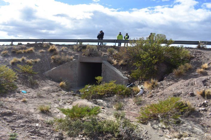 Un criancero encontró de casualidad el trágico accidente en Ruta 40