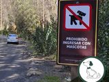 Parque Nacional Nahuel Huapi: denuncian que los turistas llevan mascotas que atacan a especies protegidas