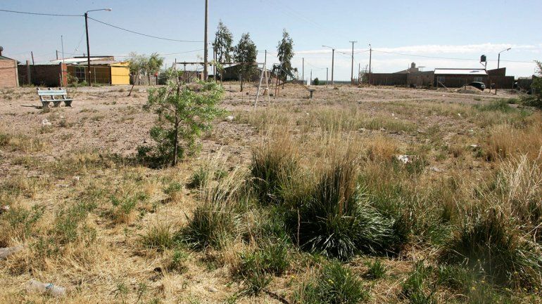 Los yuyos crecen con más facilidad en esta época del año. Hay propietarios con terrenos que lucen abandonados.