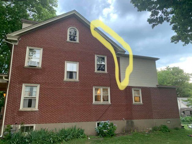 Salía miel de las paredes y descubrieron abejas viviendo en su casa