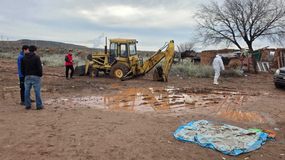 Las pistas del presunto homicidio en la chanchería: declaraciones inconsistentes, sangre y una posible pelea