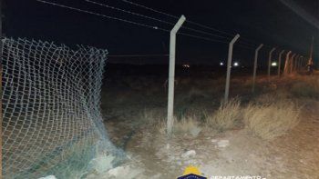 intento robar el alambrado de un predio pero fue atrapado por la policia intento robar el alambrado de un predio pero fue atrapado por la policia