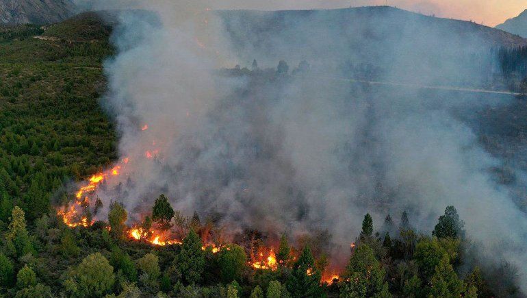 Creen que el incendio en los bosques del Bolsón fue intencional
