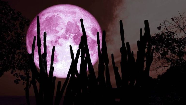 Luna de Fresa: el 11 de junio podés ver un fenómeno inusual.