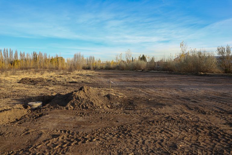 La chacra ubicada en la calle 15 cerca del dique Ballester es de una cooperativa agrícola ligada a organizaciones sociales. La chacra ubicada en la calle 15 cerca del dique Ballester es de una cooperativa agrícola ligada a organizaciones sociales.