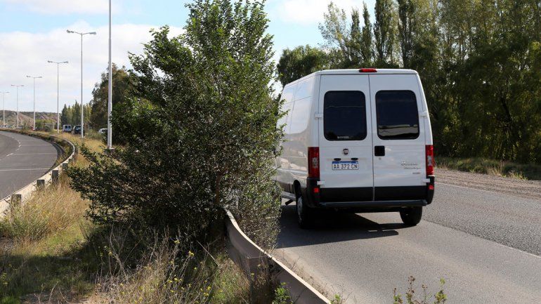 Los yuyos hacen de muro en la Ruta 7 y en tramos quitan visibilidad. &nbsp;