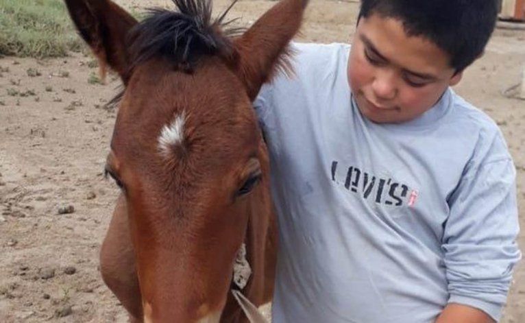 La historia de Gringa, la yegua que paseaba por el Manzanar