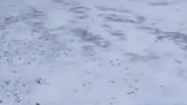 Continua el temporal de nieve en la región. Continua el temporal de nieve en la región.
