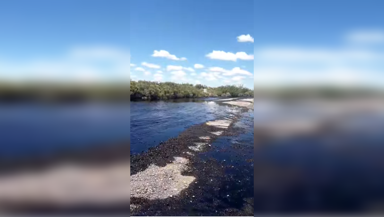 Se produjo un grave derrame por la rotura de un oleoducto de Oldelval