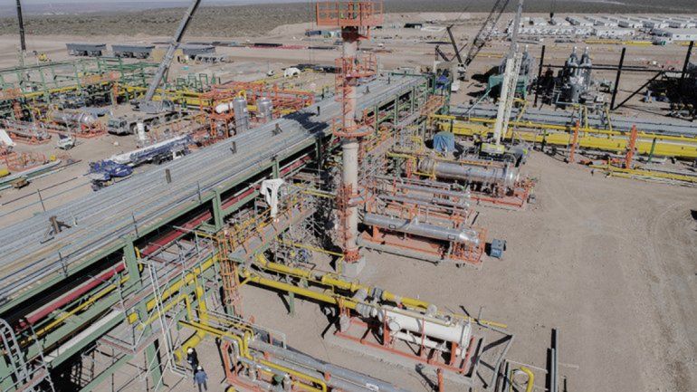 La planta en medio del desierto de Fortín de Piedra