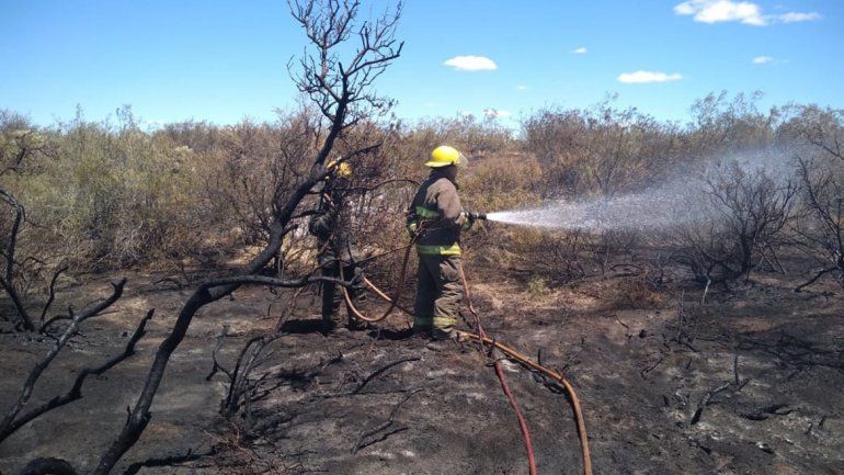 Arroyito: incendio arrasó 40 hectáreas de pastizales