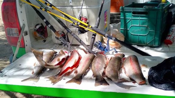 Secuestran 51 truchas por pesca ilegal en áreas protegidas de Neuquén