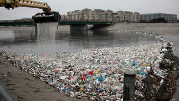los microbios evolucionan para poder comer plastico los microbios evolucionan para poder comer plastico