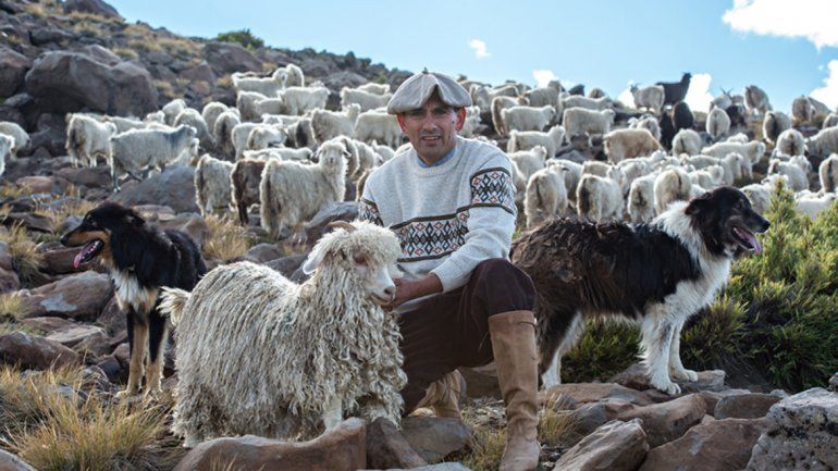 Crianceros locales salen a pelearle al fast fashion