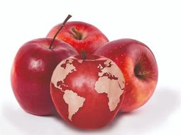 La menor producción desde 2020/21 obliga a un nuevo equilibrio entre oferta, demanda y exportaciones en el mercado internacional.