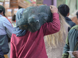 El MCN cambia el horario, algo que usualmente se deba en mayo. Foto: @mcdelneuquen El MCN cambia el horario, algo que usualmente se deba en mayo. Foto: @mcdelneuquen