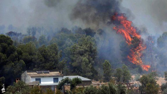 La ola de calor en Europa hace estragos