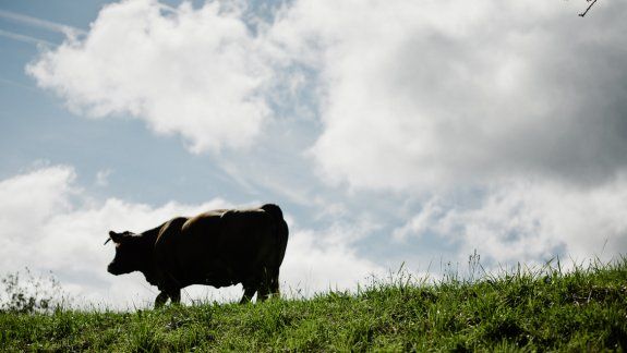 La concentración atmosférica de dióxido de carbono, en la preindustrialización, llegaba a 278 ppm. Si no se controla este aumento, tampoco se podrá controlar el calentamiento global.