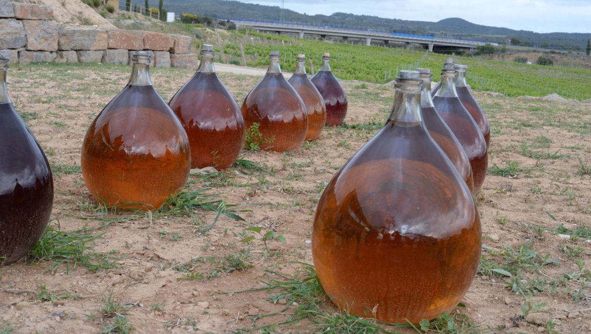 Matar la fruta: cuando una técnica lleva los sabores del vino más allá de lo obvio