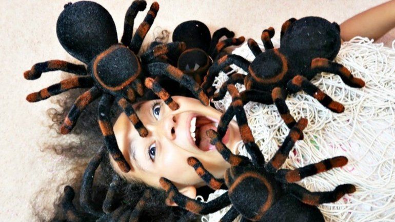 ¿Soñaste con arañas? Conocé qué significa