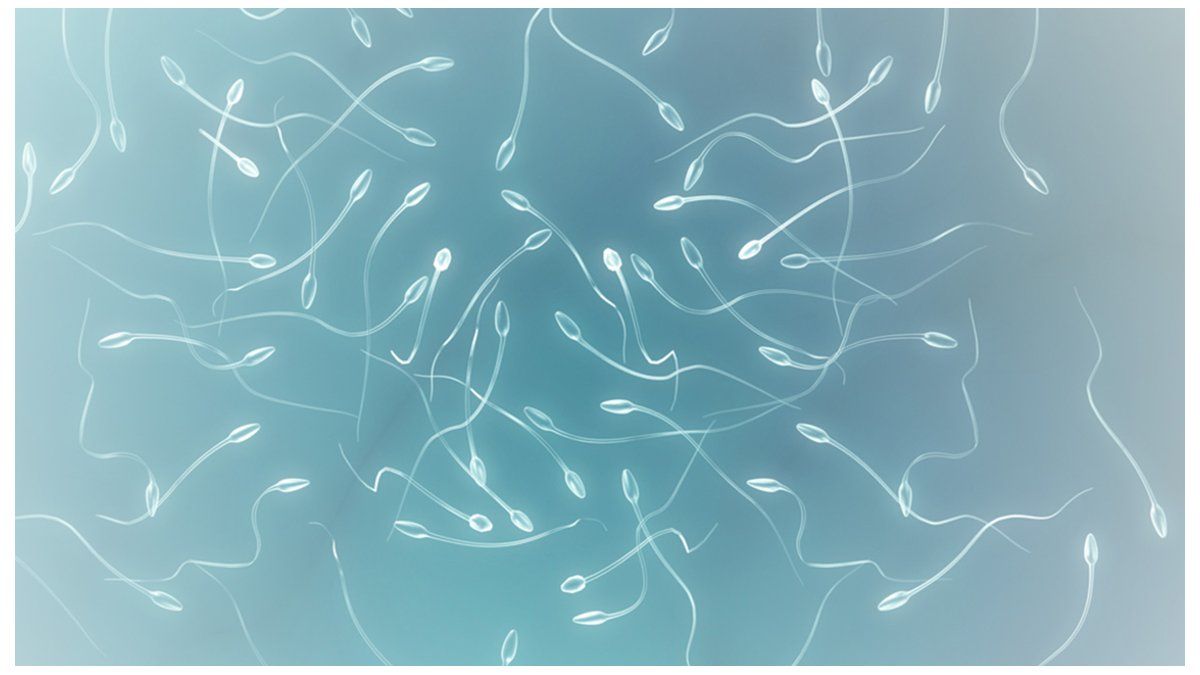 Sperm intoxicates others to overcome them in the race