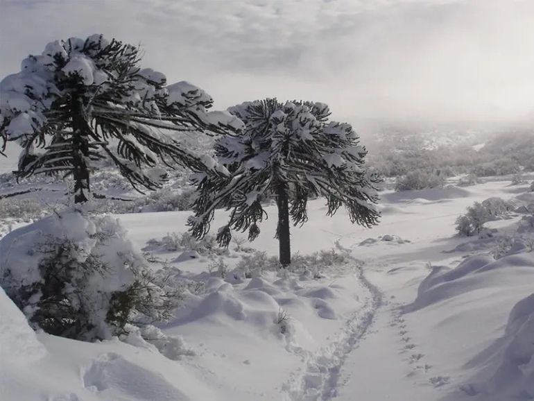 Un hombre logró activar un dispositivo cuyas coordenadas fueron captadas en Estados Unidos. (Foto: Realidad Sanmartinense)