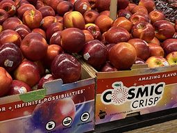 nuevas variedades (iii): escenario local nuevas variedades (iii): escenario local