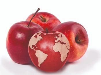 La menor producción desde 2020/21 obliga a un nuevo equilibrio entre oferta, demanda y exportaciones en el mercado internacional.